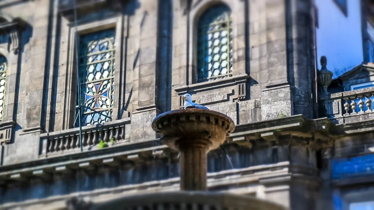 A seagull perched on a fountain in front of a church with stained glass windows