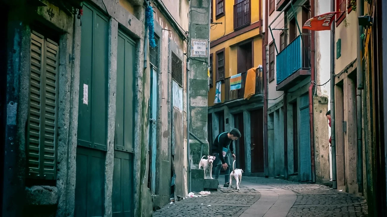 A narrow alley in the old town with a local and two dogs, laundry hanging from balconies