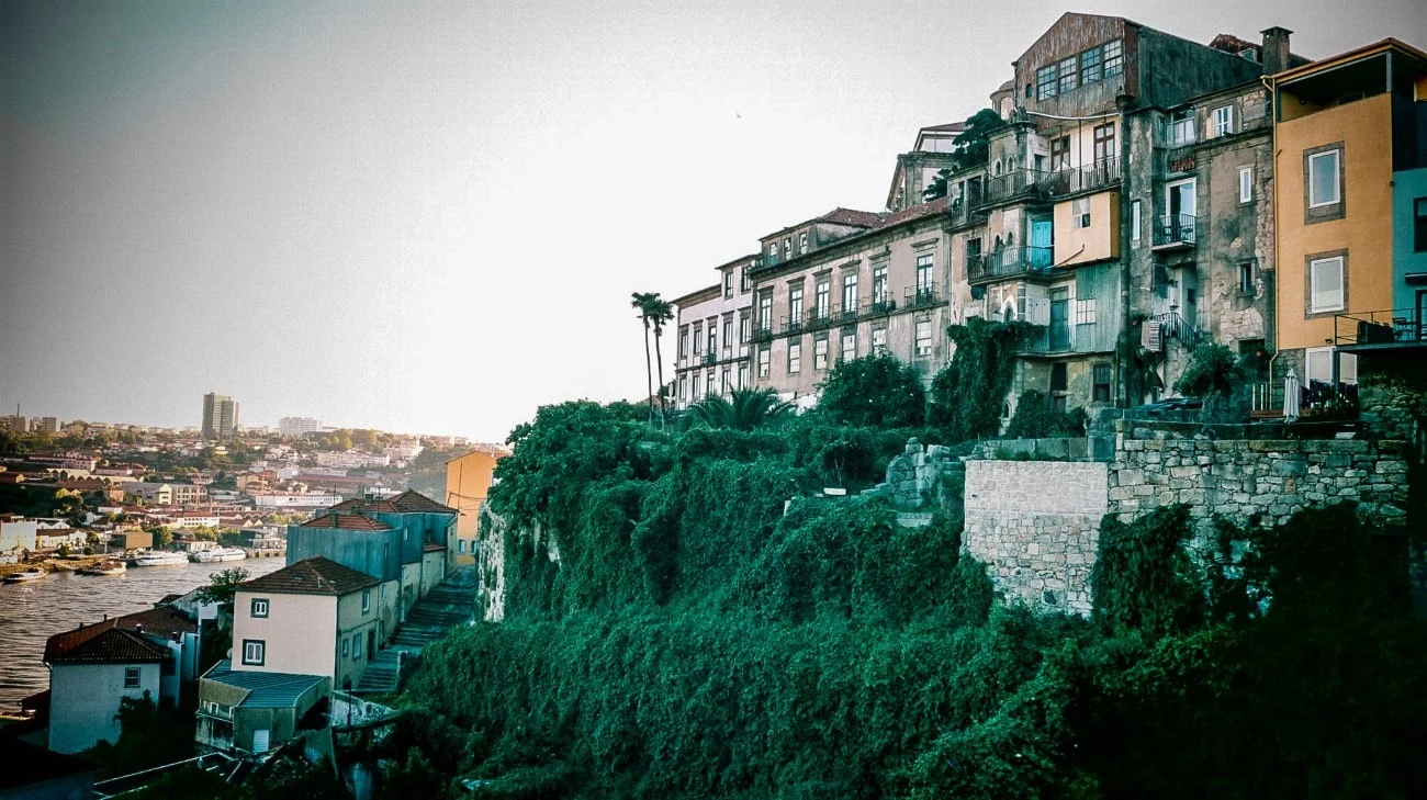 Buildings perched on vine-covered cliffs above the Douro River