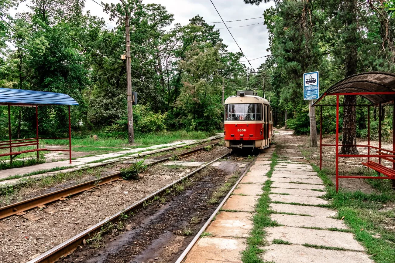 Tramway au milieu des forêts de Kyiv