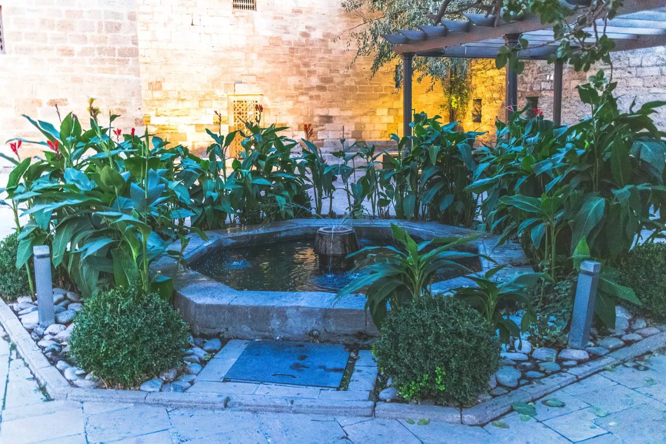 Die Brunnen der Schirwanschahs