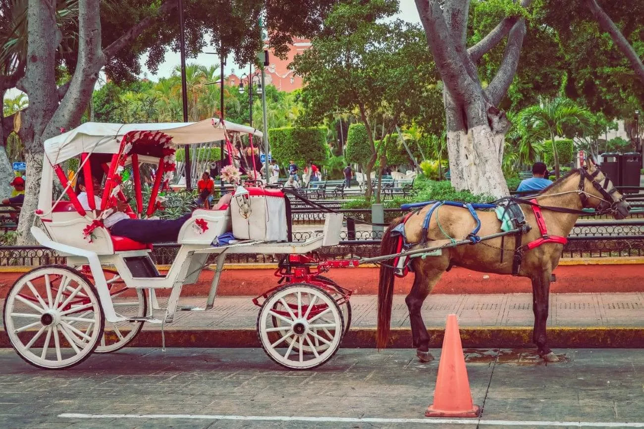 A horse-drawn carriage awaits customers in the center of Merida