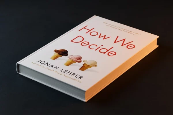 How We Decide Review